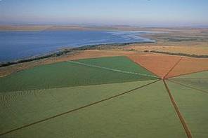 Avançando sobre áreas verdes, sugando recursos hídricos, plantando e utilizando insumos transgênicos, o Brasil e o Cone Sul retornam para a condição pré 1930 de plataforma de exportação de produtos primários. A China, os caloteiros do agrobusiness, a jogatina da dívida interna e as transnacionais aplaudem este decreto de morte de nossa economia política.



 - Foto: